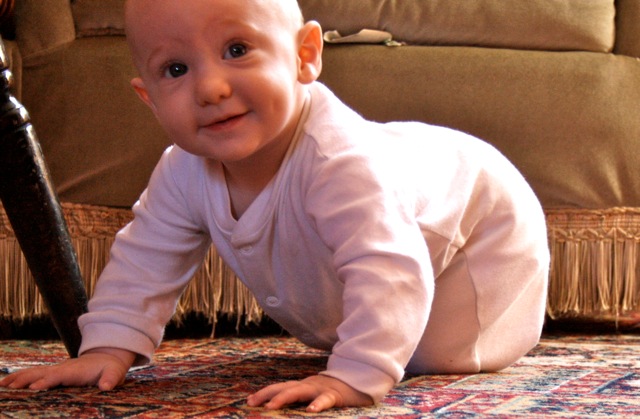 Corben crawling