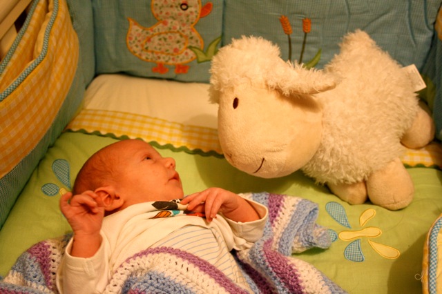 Corben with the Sheep of Catan