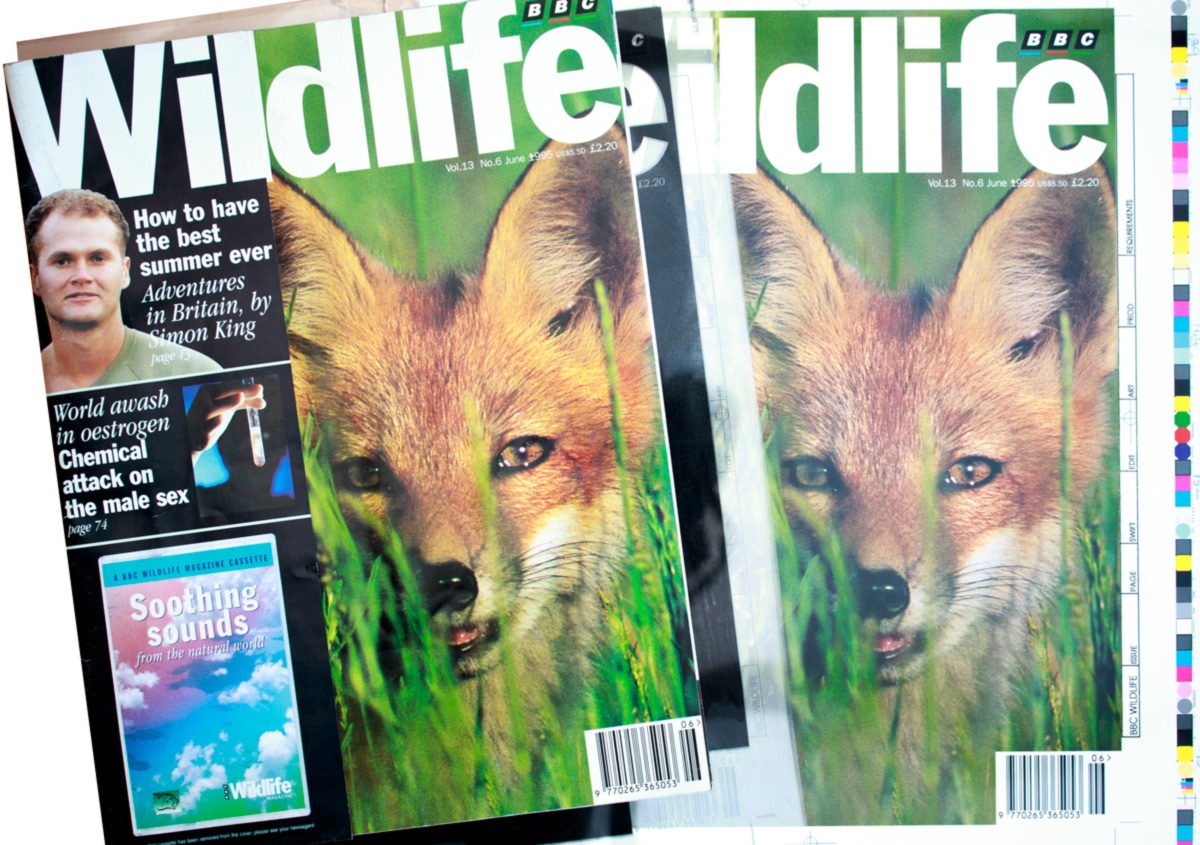 BBC Wildlife Cover